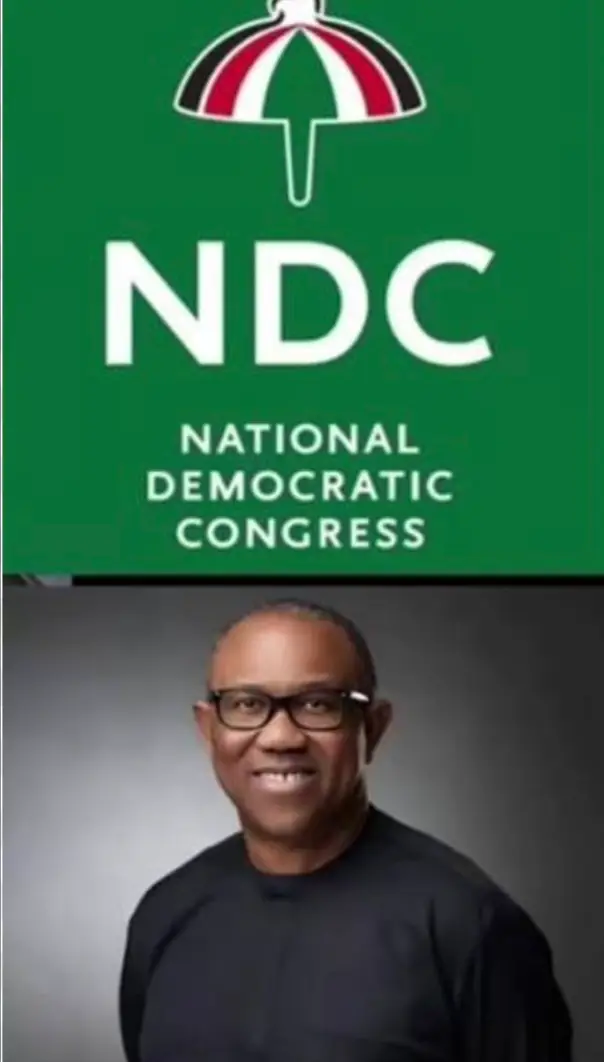 Analysis Story: The NDC Gambit: How Peter Obi and Kwankwaso Are Rewriting Nigeria’s 2027 Playbook